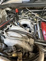 IMG_8153.jpeg