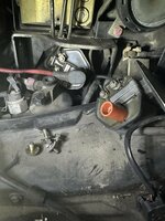 IMG_8198.jpeg