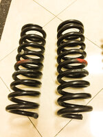 IMG_6419.jpeg IMG_6419.jpeg