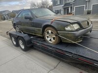 1000008925.jpg 1000008925.jpg