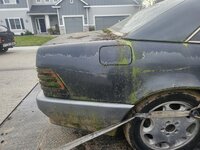 1000008928.jpg 1000008928.jpg