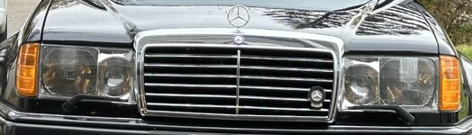 IMG_6073.jpeg