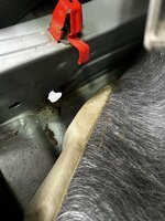 IMG_5701.jpeg