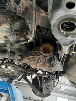 IMG_6096.jpeg
