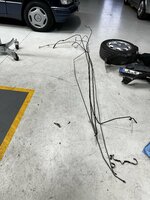 IMG_6125.jpeg