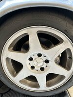 IMG_9020.jpeg
