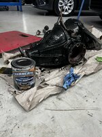 IMG_6229.jpeg
