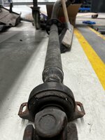 IMG_6274.jpeg
