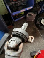 IMG_6278.jpeg