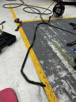IMG_6284.jpeg
