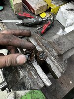 IMG_6313.jpeg