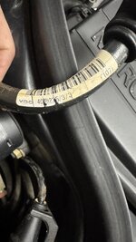 IMG_5073.jpeg
