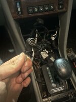 481306030_1309746240118553_1237309127619580188_n.jpg