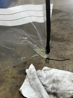 IMG_8183.jpeg