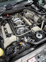 IMG_1956.png IMG_1956.png