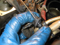 IMG_3605.JPG IMG_3605.JPG