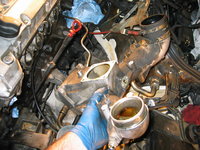 IMG_3610.JPG IMG_3610.JPG