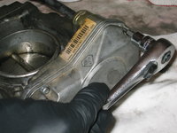 IMG_3624.JPG IMG_3624.JPG