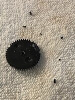 IMG_2536.jpeg