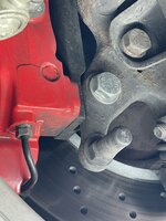 IMG_8037.jpeg