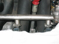 IMG_2019.JPG IMG_2019.JPG