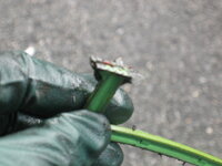 IMG_2124.JPG IMG_2124.JPG