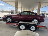 IMG_8210.jpeg