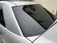 IMG_8460.jpeg