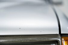 7R35652-55974-scaled.jpeg
