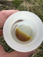 IMG_9695.jpeg