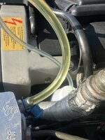 IMG_9731.jpeg