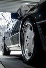IMG_9512.jpeg