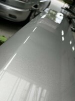 IMG_7330.jpeg
