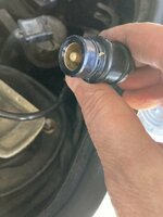 IMG_2049.jpeg