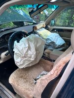 thumbnail_IMG_7537.jpg