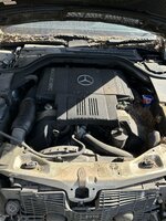 IMG_1949.jpeg