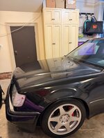 IMG_6752.jpeg