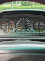 IMG_6826.jpeg