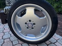 IMG_1477.jpeg