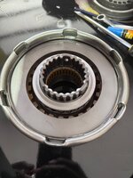 IMG_5929.jpeg