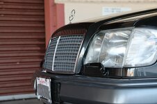 imgi_482_188A0479-09323.jpeg