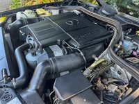imgi_605_IMG_3644-09002.jpeg