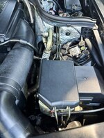 imgi_607_IMG_3641-09022.jpeg