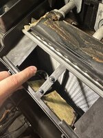 IMG_6818.jpeg