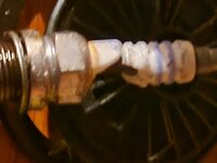 20250803_213754.jpg
