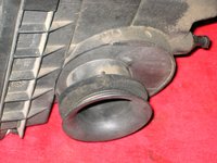IMG_4032.JPG