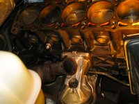 IMG_4073.JPG