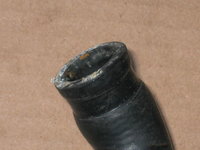 IMG_4094.JPG