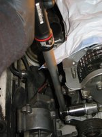 IMG_4367.jpg
