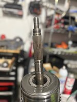 IMG_6198.jpeg